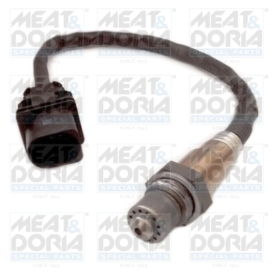 Oxygen Sensor